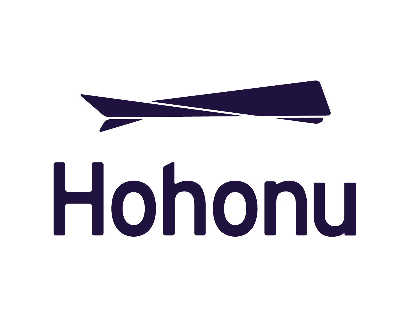 Hohonu logo