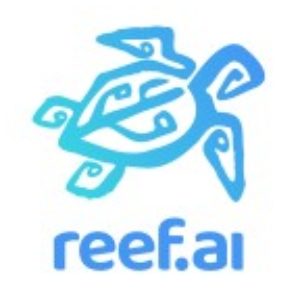 Reef.ai logo